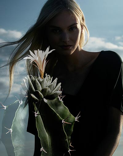 Cactus de Cartier  Cartier 
