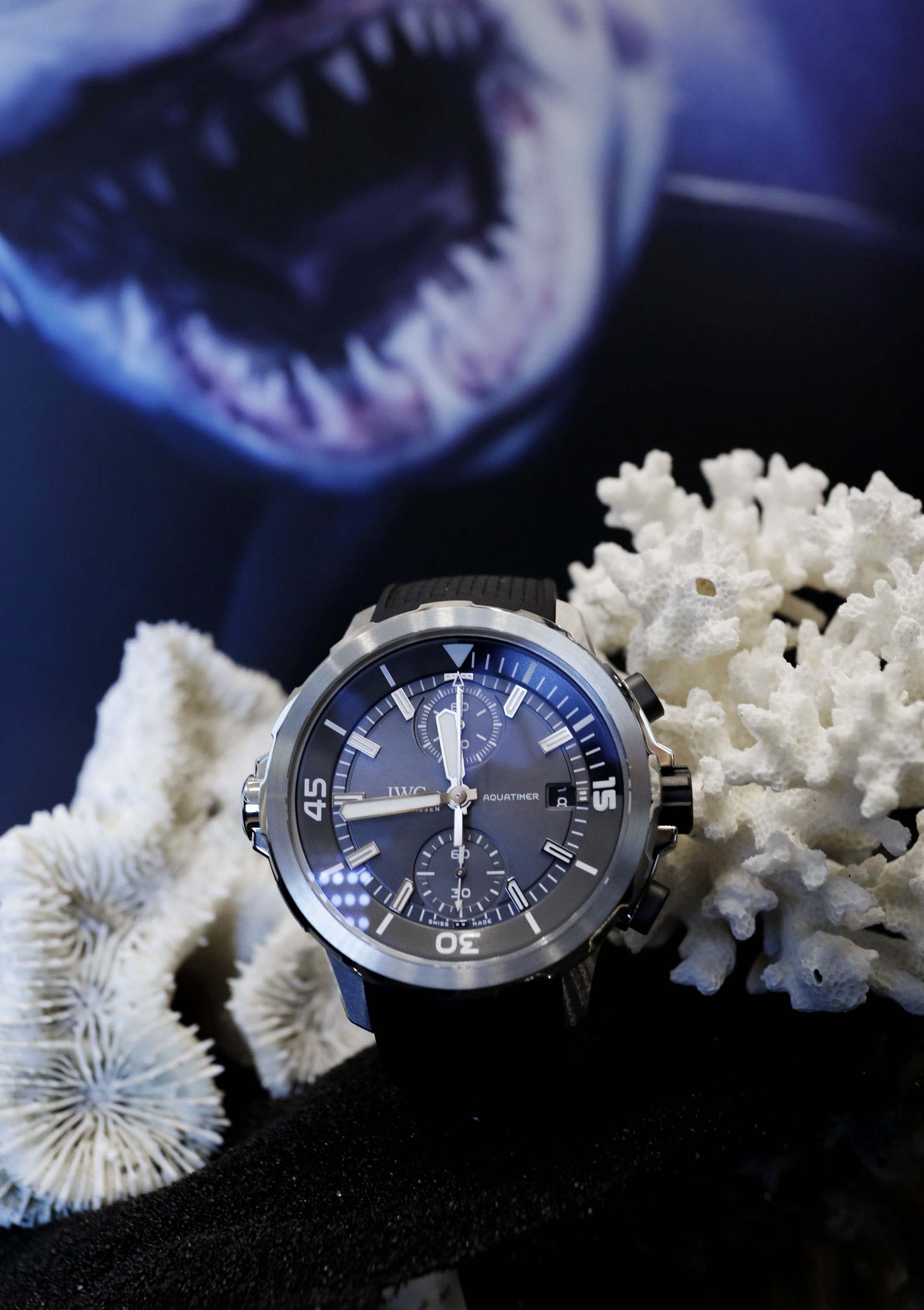 iwc aquatimer blue